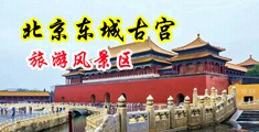 操美女BB视频网站中国北京-东城古宫旅游风景区